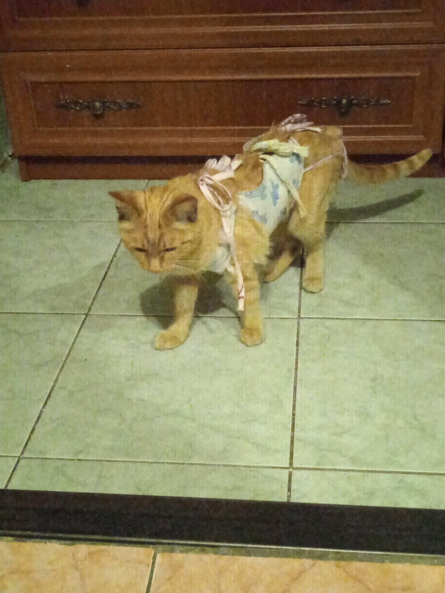 Встала наконец