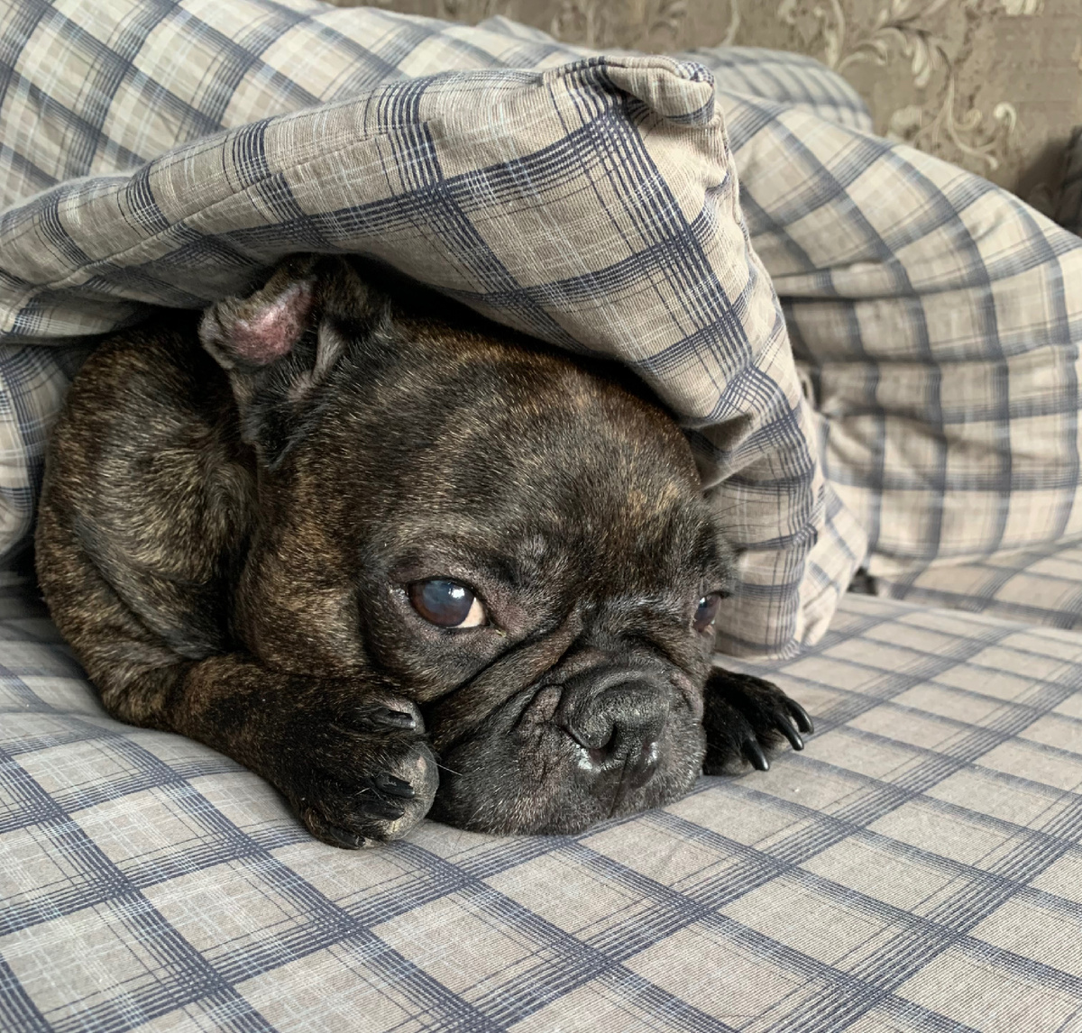 Каждое утро у нас такое😀 Хотя засыпаем все на своих местах..