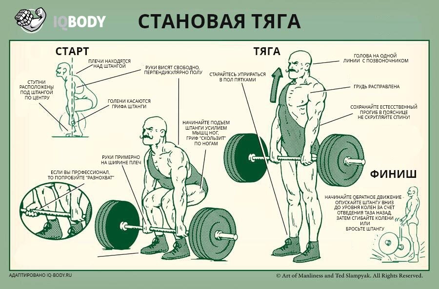 техника выполнения становой тяги