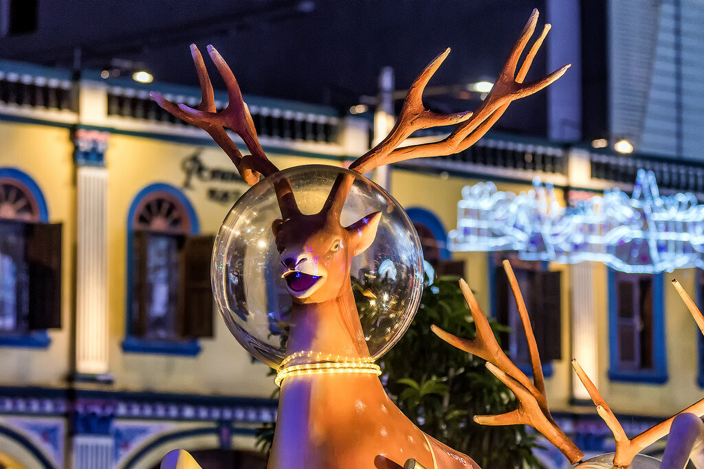 новый год семейный праздник. девушка с шампанским. вечеринка в новогодних свитерах. новогодний образ. празднование рождества.