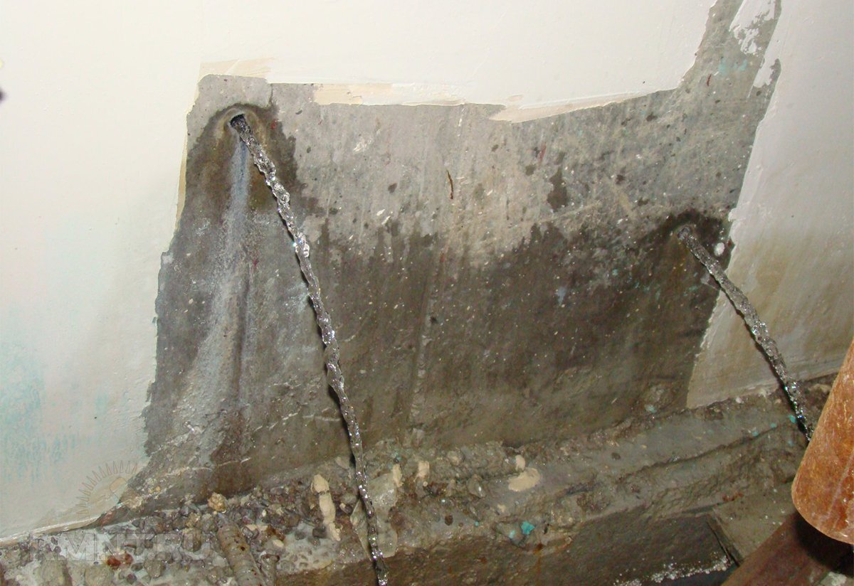 Фото pro.degidrol.com