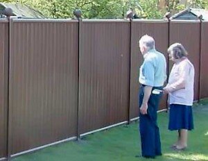 Перед тем как что-либо сажать, следует привести в порядок ограждение, а после этого необходимо подобрать сорта растений, которые будут цвести в разное время года. Также можно высадить невысокие хвойные деревья. Часто дачники высаживают вдоль ограждения высокие растения, позволяющие полностью отгородиться от назойливых соседей.