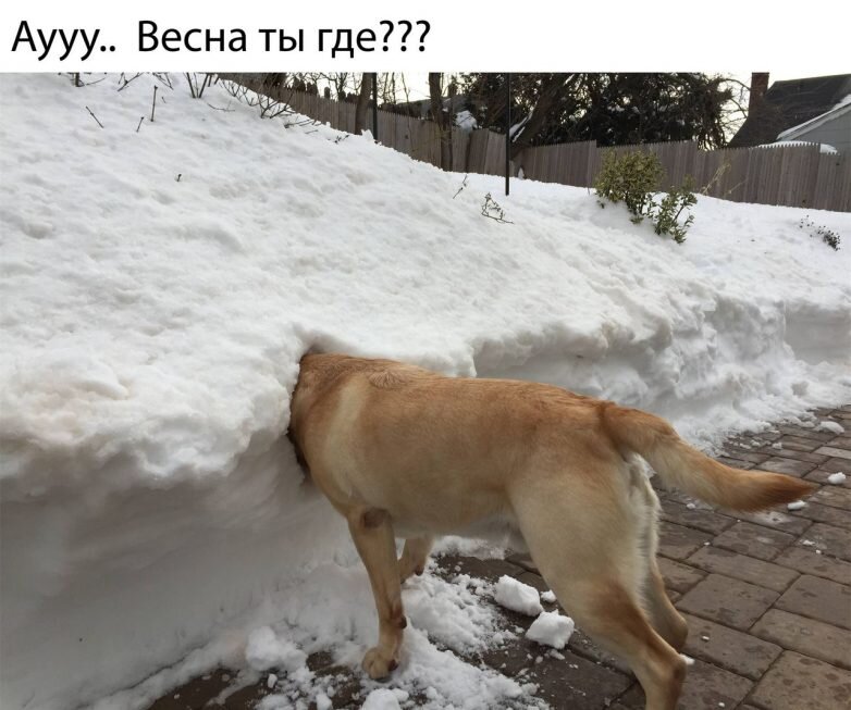 Уж нет никаких сил терпеть. Ну давай же, зима, проваливай!                          Понравилось? Покажите Друзьям!-3