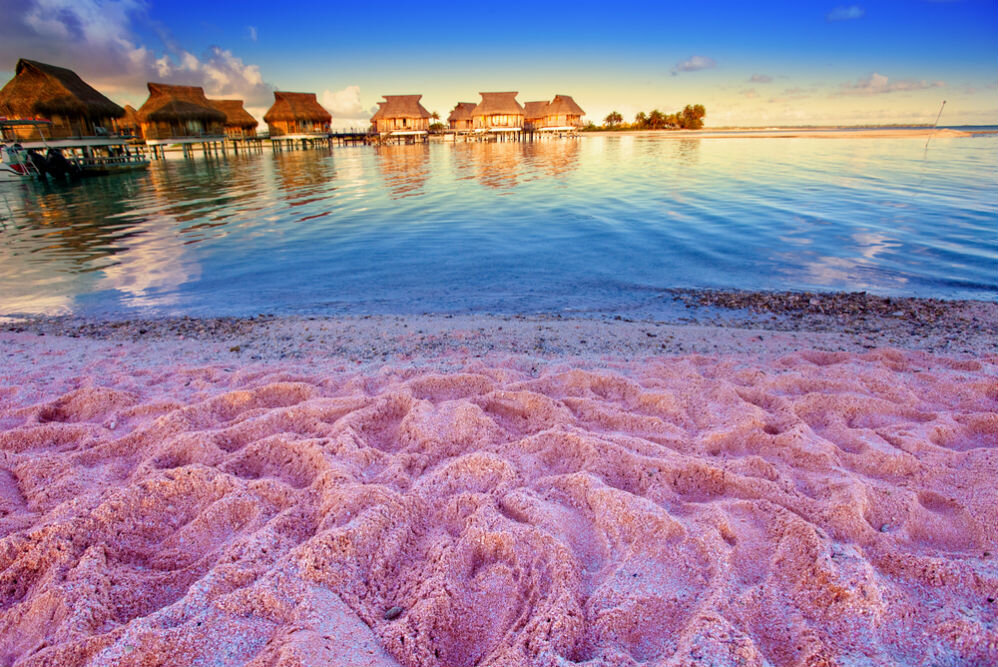 Фото: KKulikov / Shutterstock.com