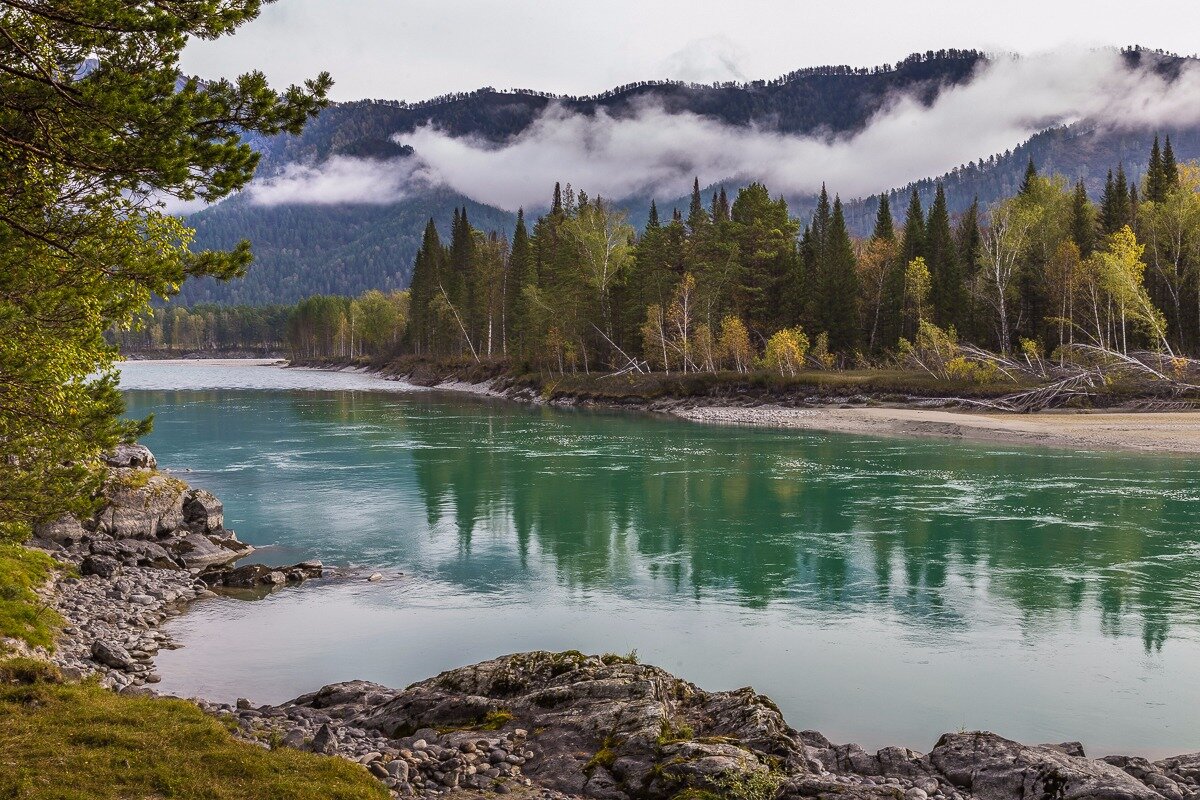 Река Катунь горный Алтай фото