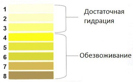 О чем говорит цвет мочи