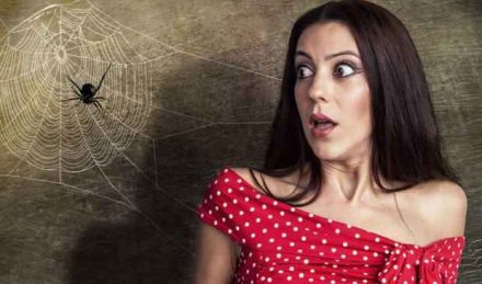 Появление черного паука чаще всего говорит о состоянии здоровья. Если он поднимается по вашему телу вверх, это указывает на то, что вы здоровы и в ближайшее время ухудшения положения не предвидится. Если же ситуация обратная, то стоит обратить внимание на свое состояние.