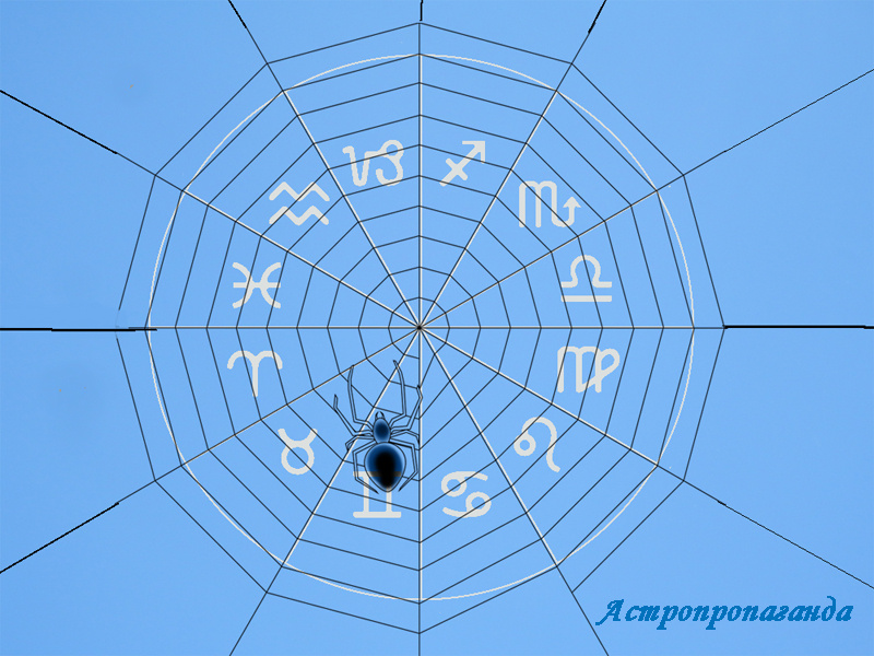 Коллаж Нины Стрелковой. 