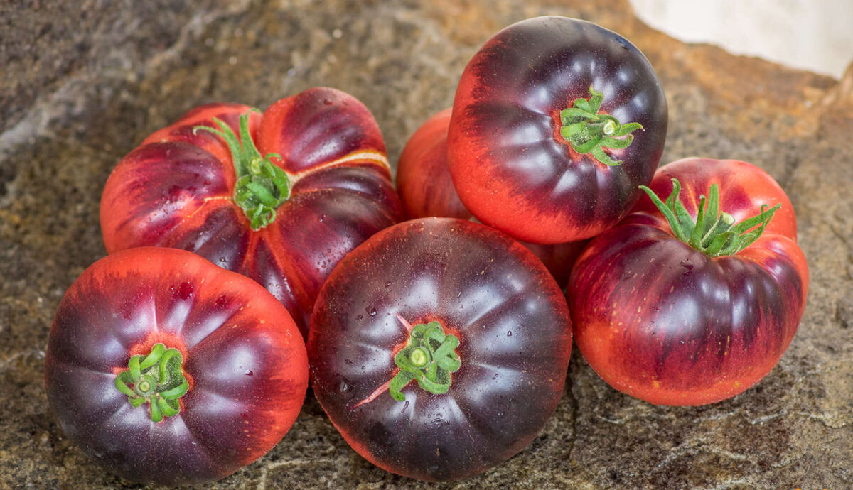 La piel del tomate es perjudicial