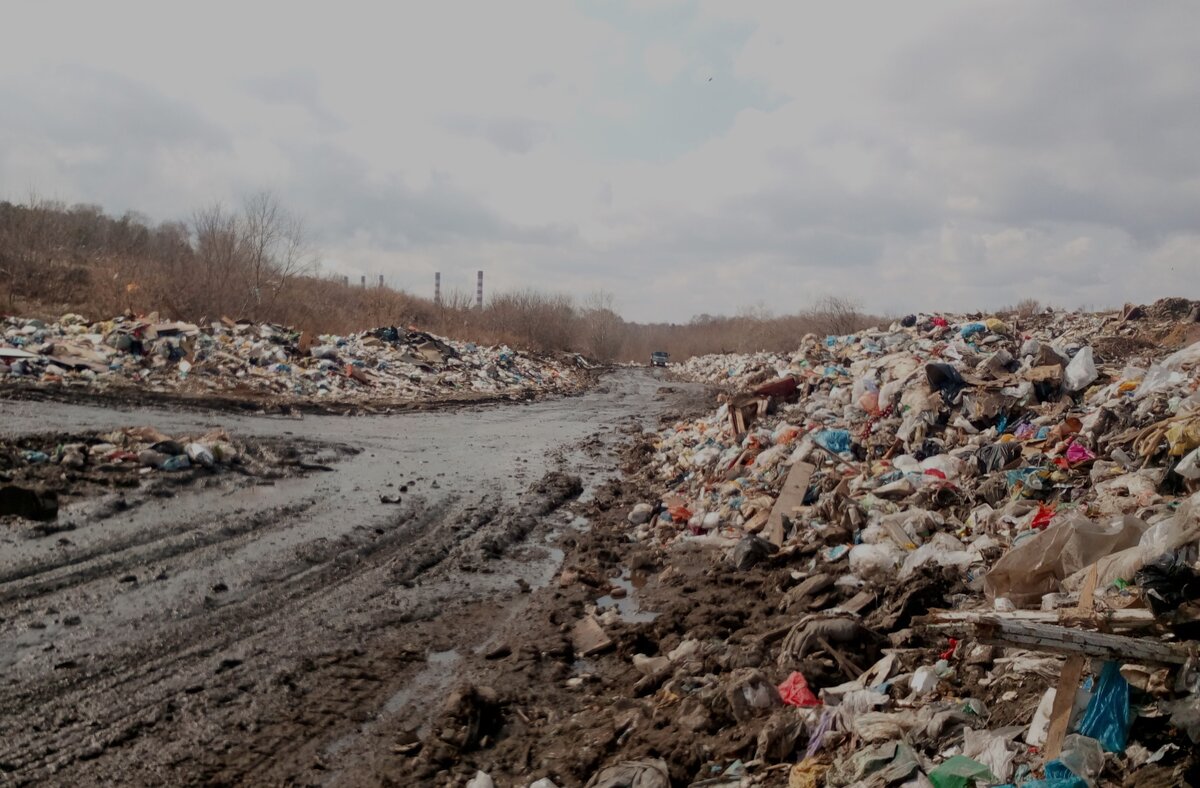 Стало известно, где именно будет построен новый полигон бытовых отходов в  Новополоцке. КАРТА | Новости Полоцка и Новополоцка | Дзен