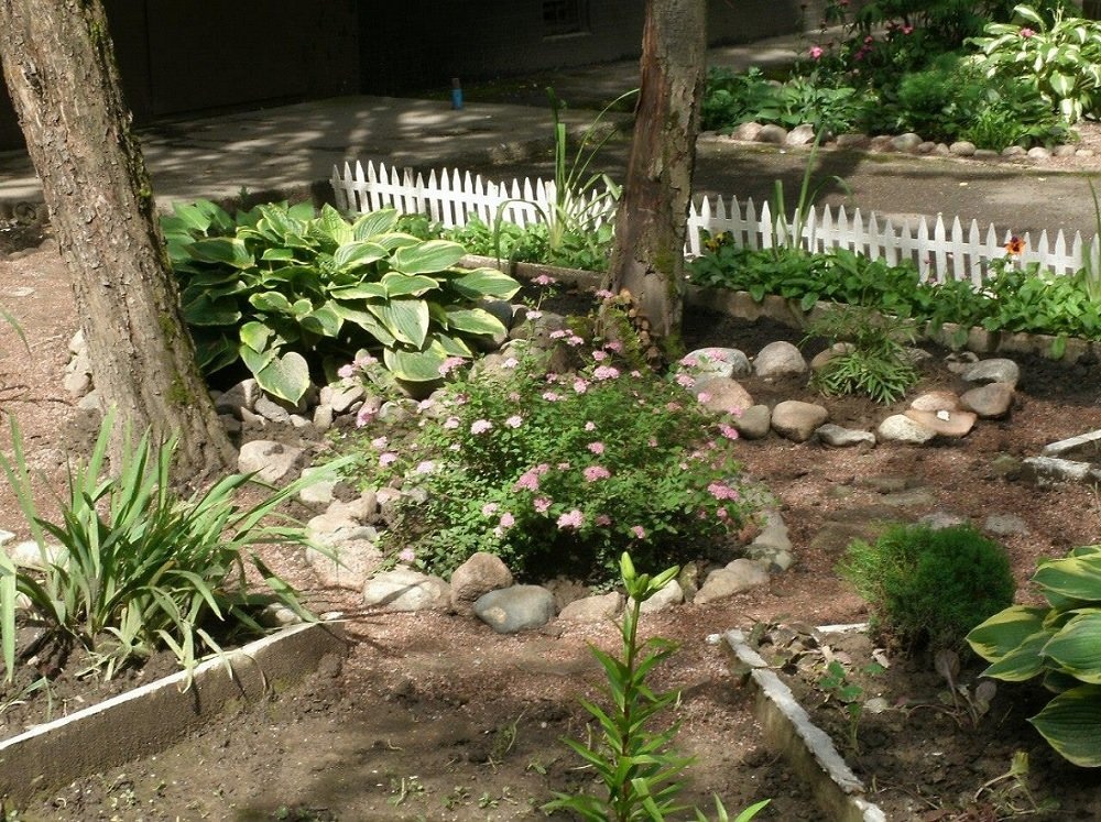 Источники ФБ Бориса Вишневского и Дмитрия Ратникова 