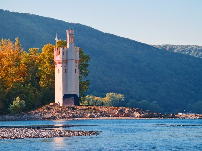 Фото: предоставлено сайтом RestExpert.ru