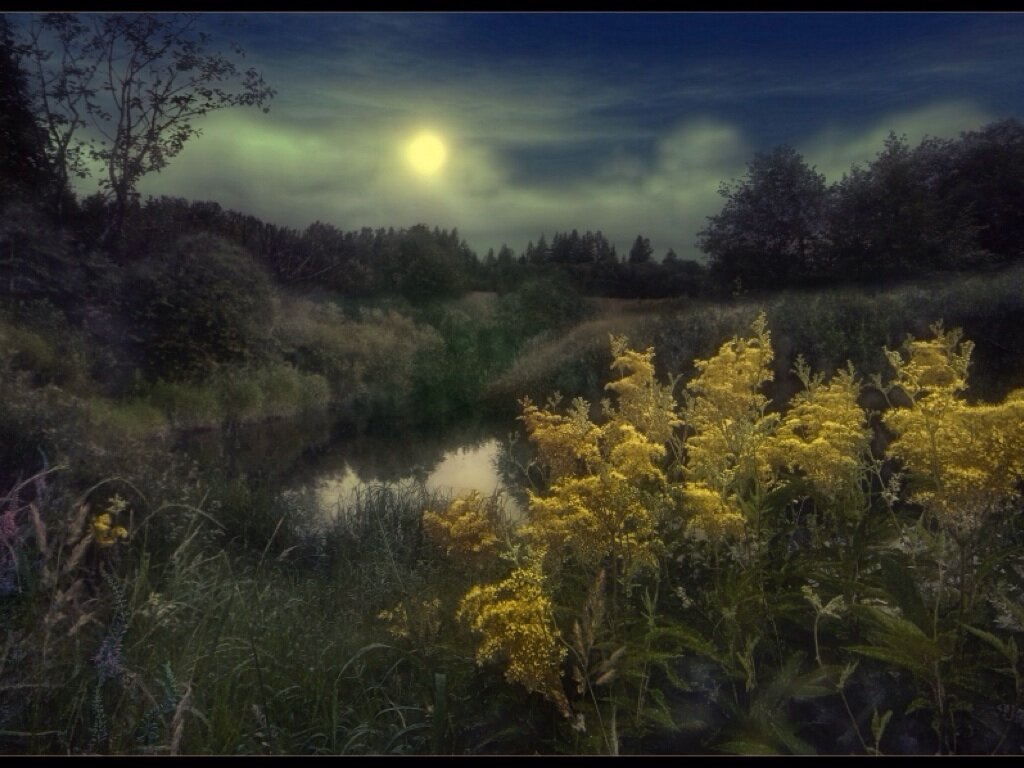 Полна тайн хмурая тишина зимнего. Летняя ночь. Ночной лес живопись. Ночной сад живопись.