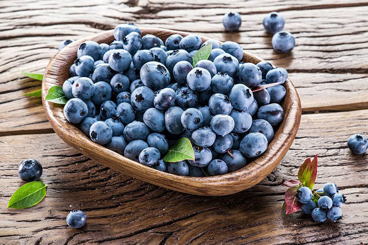 Все, что вам нужно знать о чернике | UnimedHealth | Дзен