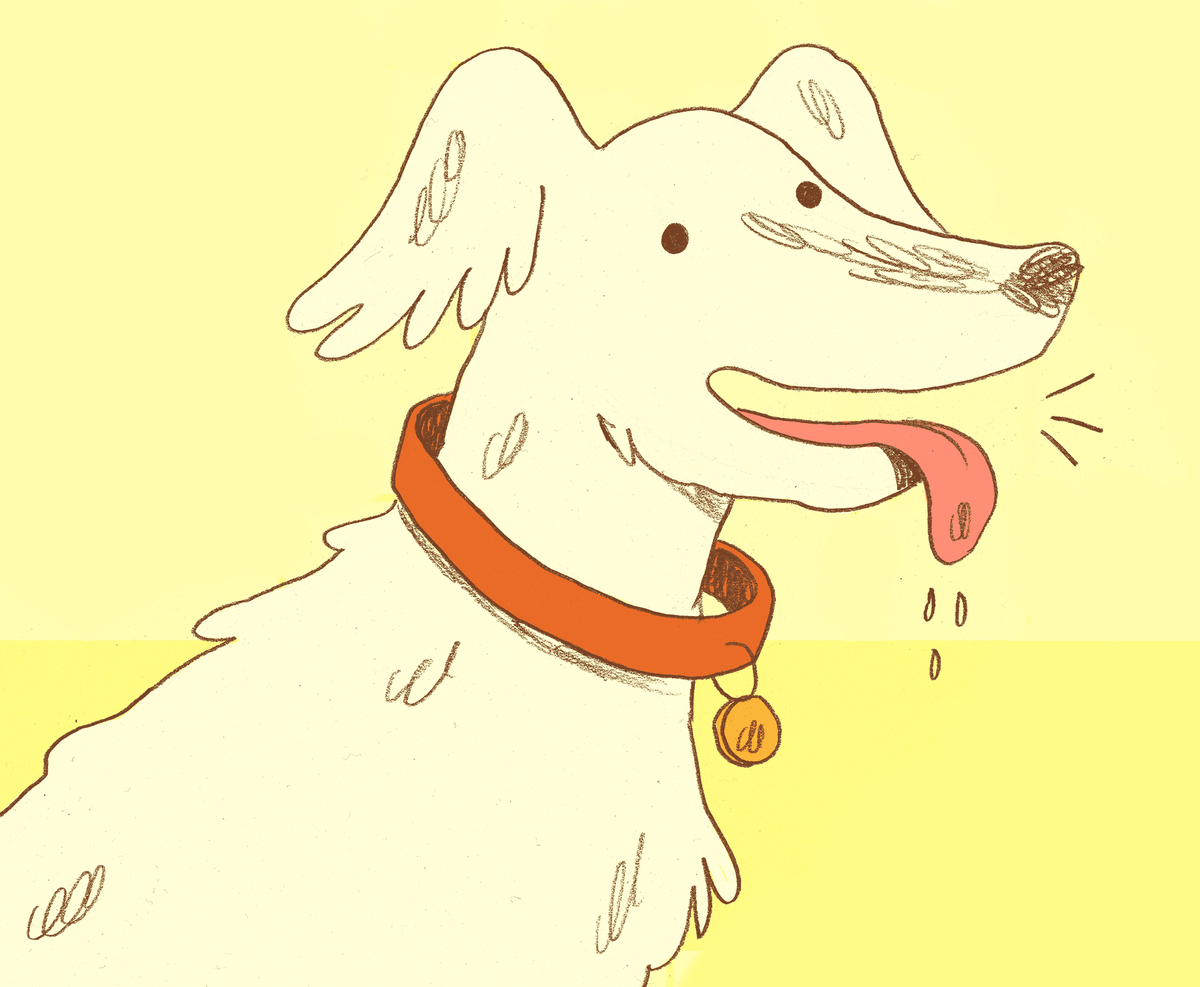 Специалисты по домашним животным объясняют причины, по которым собака тяжело дышит и подсказывают, когда её хозяевам следует начать беспокоиться.