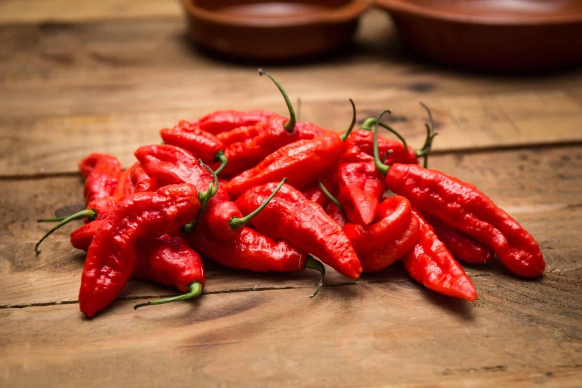 фото интернет