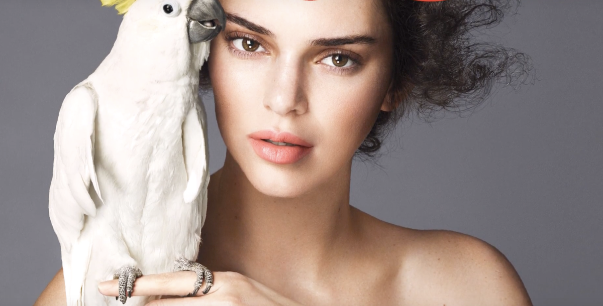Кендалл Дженнер на одной из обложек журнала Vogue