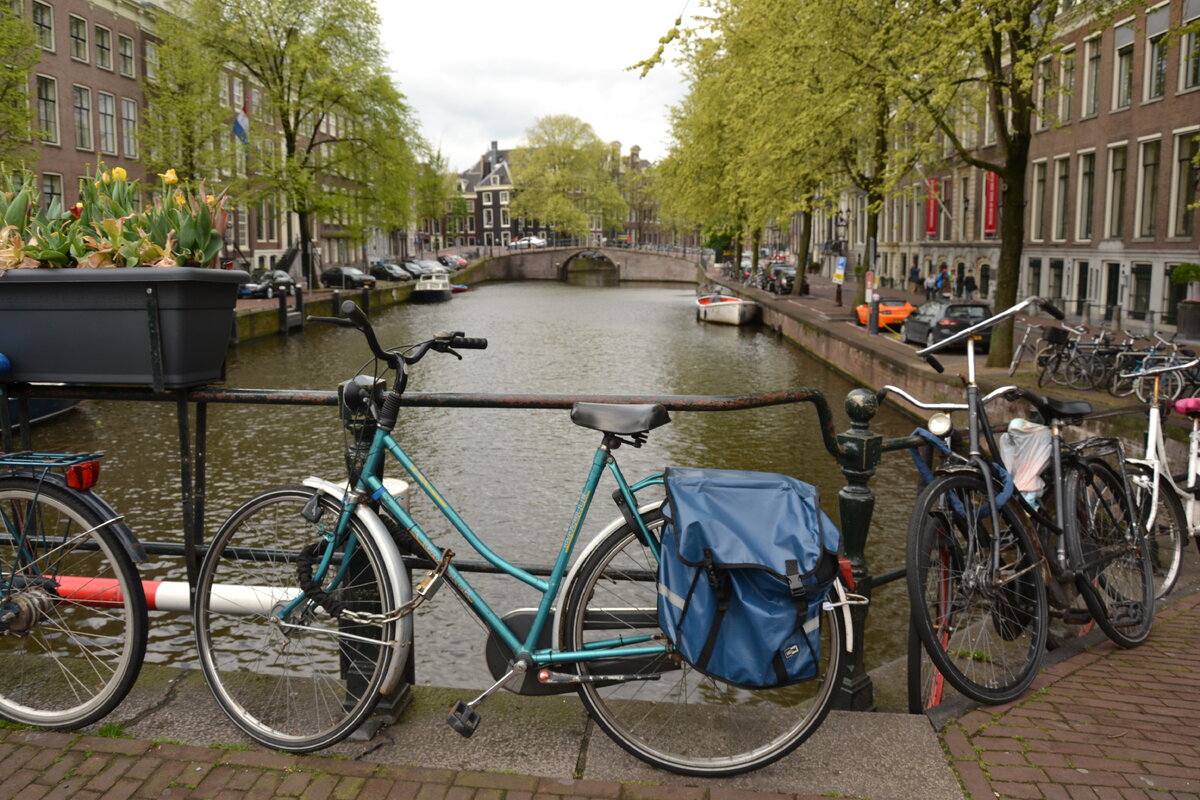 Que hacer en amsterdam en 2 dias