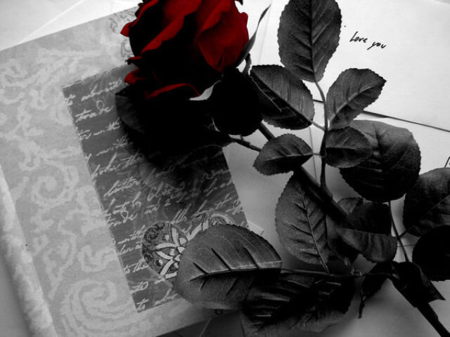 Темная поэзия. Черно белая Эстетика. Серо красная Эстетика. Черные розы Эстетика. Cthjrhfcyfz 'fntnbrf.