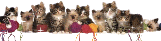 Источник картинки: kotovasiya63.ru