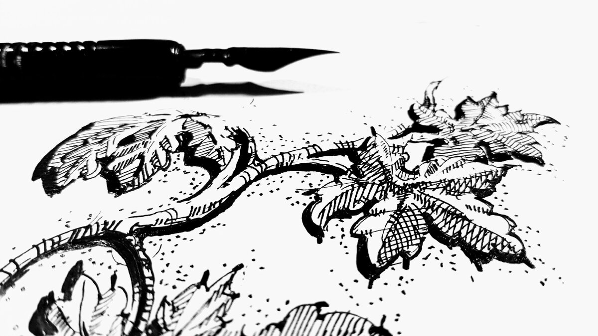 Пытаюсь двигаться туда - куда дорожку всегда игнорировал - детализацию листиков всяких дурацких. Индивидуальность понимаешь у растений, вырисовывание каждого листика тщательно - жилки, черешок, листовая пластинка, основание листа, прилистники  - все вот это что не помню и в целом знать не хочу . Пришлось вспоминать хаха. 