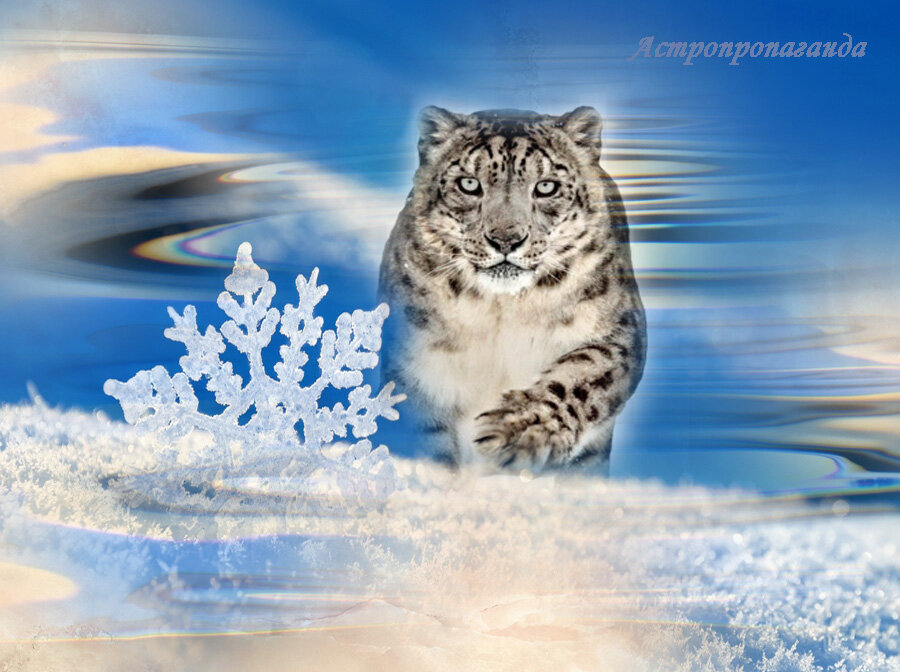 Коллаж Нины Стрелковой. 