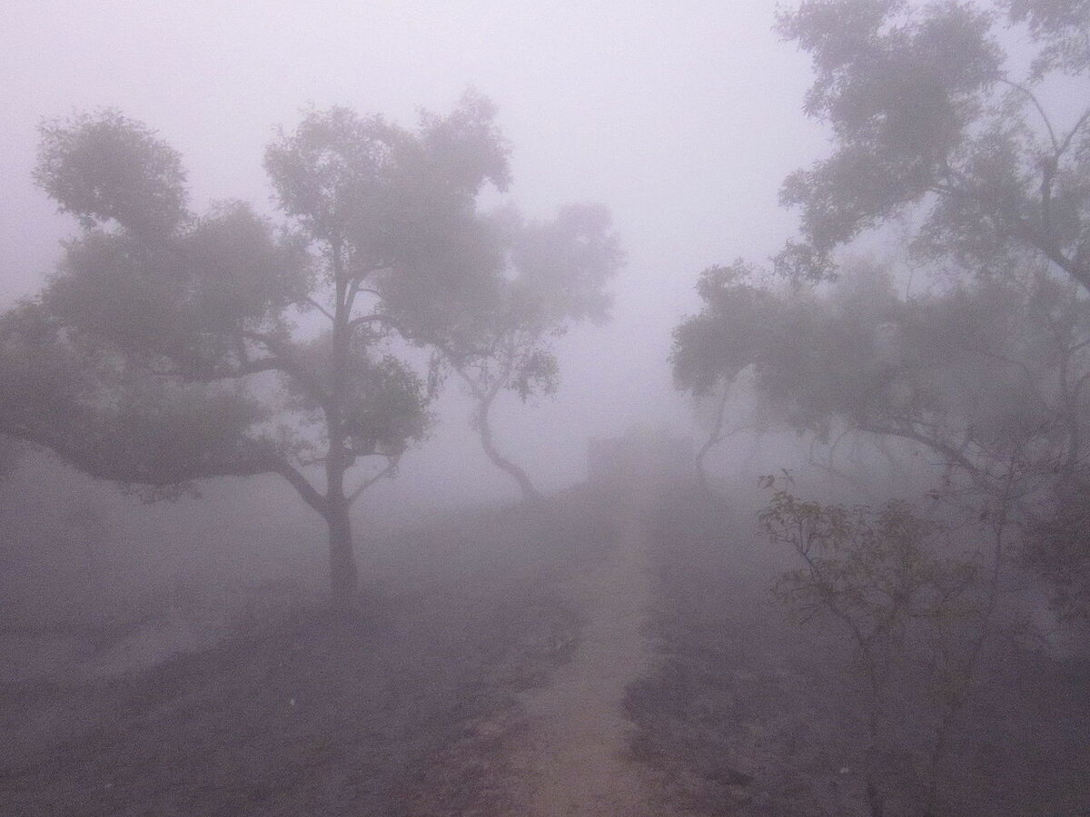Плотный туман. Очень сильный туман. Плотный туман. Сплошной плотный туман. Очень густой туман.