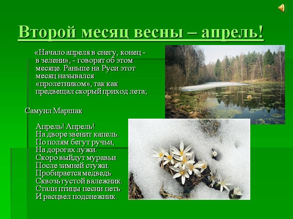 Апрель стихи и картинки