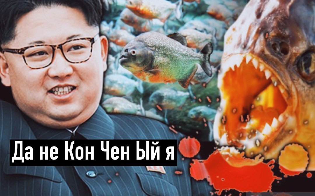 Не забудь подписаться, друг 