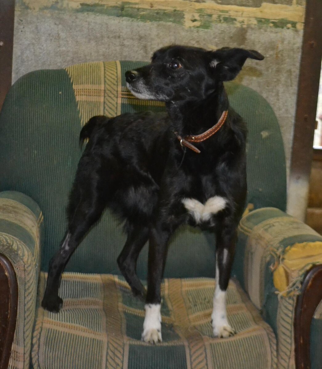 С сердечком на грудке