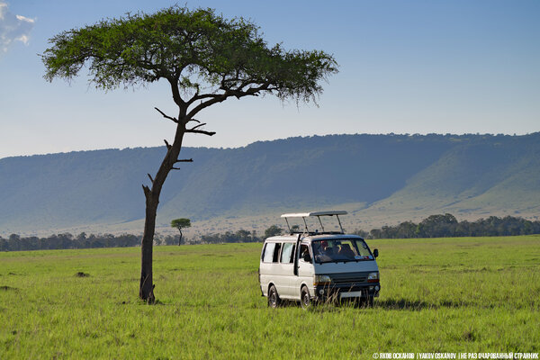 Как кидают туристов местные турагенства в Кении и Танзании. Личный опыт