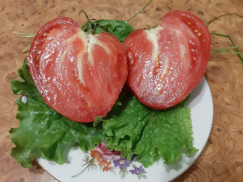 Сорт томата розовое сердце