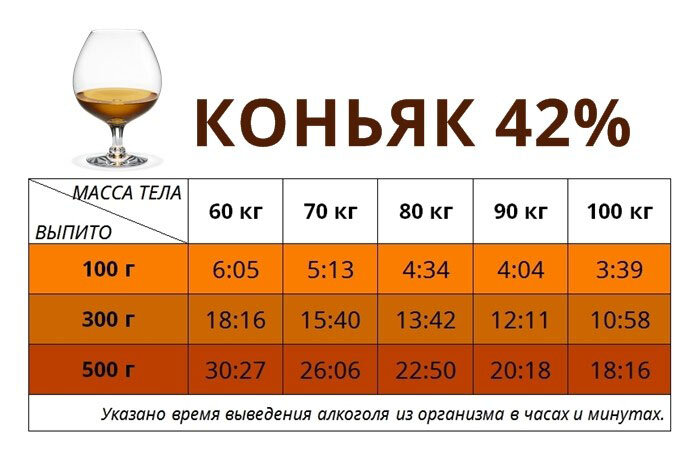 Шампанское выветривается из организма женщины через сколько