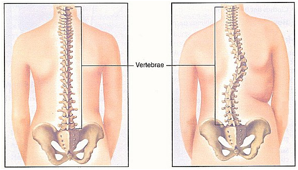 Фото: backlanov.ru