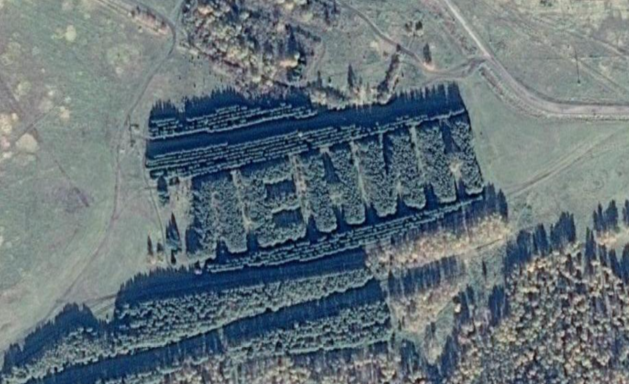 Гигантский геоглиф ленин 100 лет. Тюкалинск ленин. Тюкалинск ленин. Ленин 100 лет владимирская область. Геоглиф ленин пензенская область.