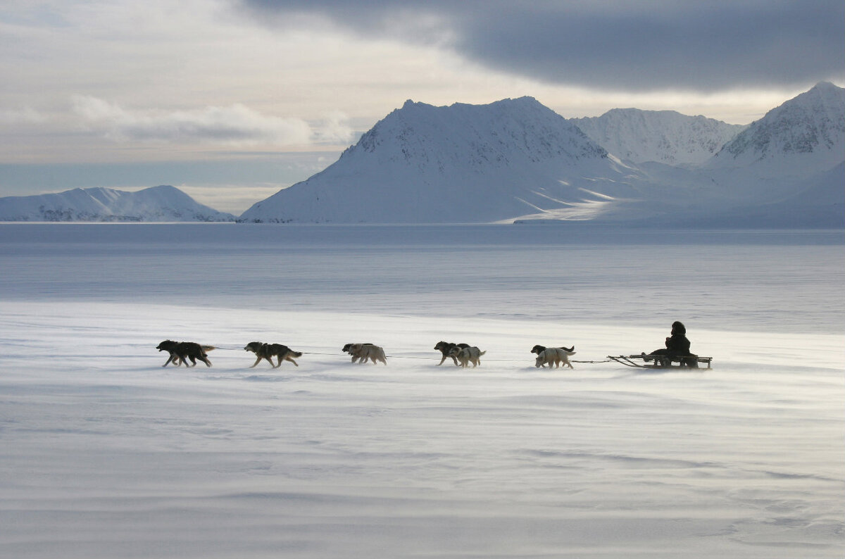 Ледяная пустота