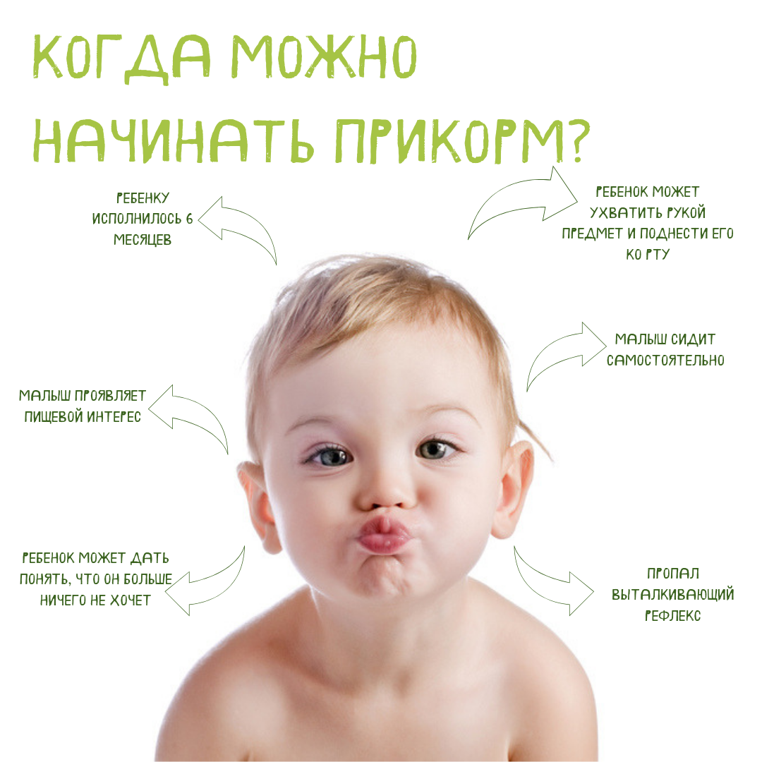 Когда можно начинать прикорм