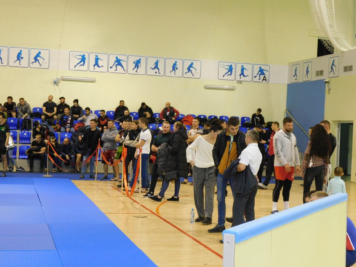 день единоборств. 22. 12 день физкультурника бокс. все боевые искусства. 22.