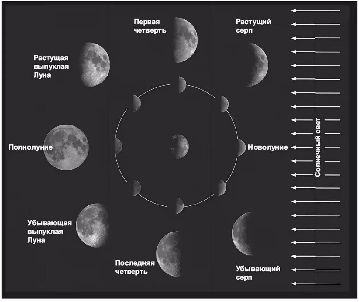 Как происходит смена лунных фаз рисунок