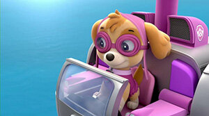 Бесстрашная и отважная собачка Скай пребывает в полной уверенности, что щенки рождены именно для полетов, поэтому абсолютно спокойно чувствует себя в маленьком и маневренном вертолете розового цвета. Приземляется Скай с переворотом в воздухе, это ее фирменный трюк. Она стремительно вылетает на помощь в Бухту приключений вместе с остальными спасателями из своей славной команды и непременно наряжается в прелестный розовый летательный костюм, шапочку и супер-очки. В разных сериях мультика ее девизы остроумны и изобретательны: «Щенки рождены летать!» или «Небо зовет!», «Небо — мой дом!». Скай – первоклассный пилот вертолета, но для особенно трудновыполнимых миссий и чрезвычайно важных происшествий у нее в рюкзачке припасена пара мобильных крыльев, которые по первому ее призыву расправляются и Скай в мгновение ока готова мчаться навстречу приключениям. В команде щенячьего патруля она младше всех остальных.