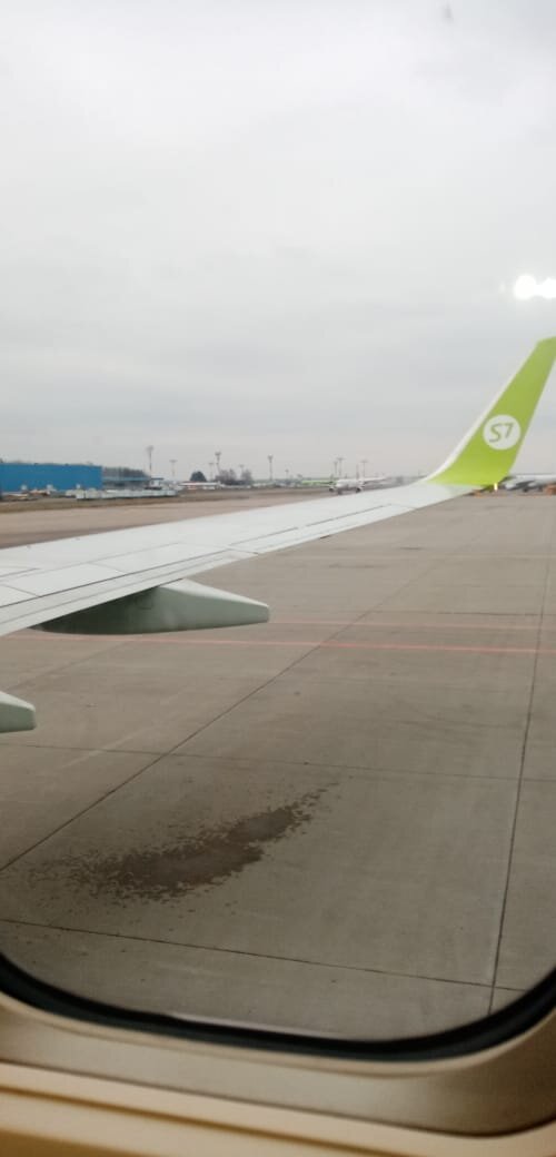 Пересадка в Москве.