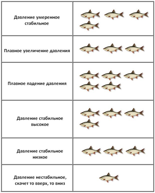 Таблица ловли рыбы на сегодня