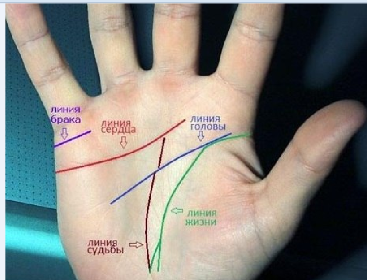 Как гадать линии по руке(Включая линия жизни на руке)?