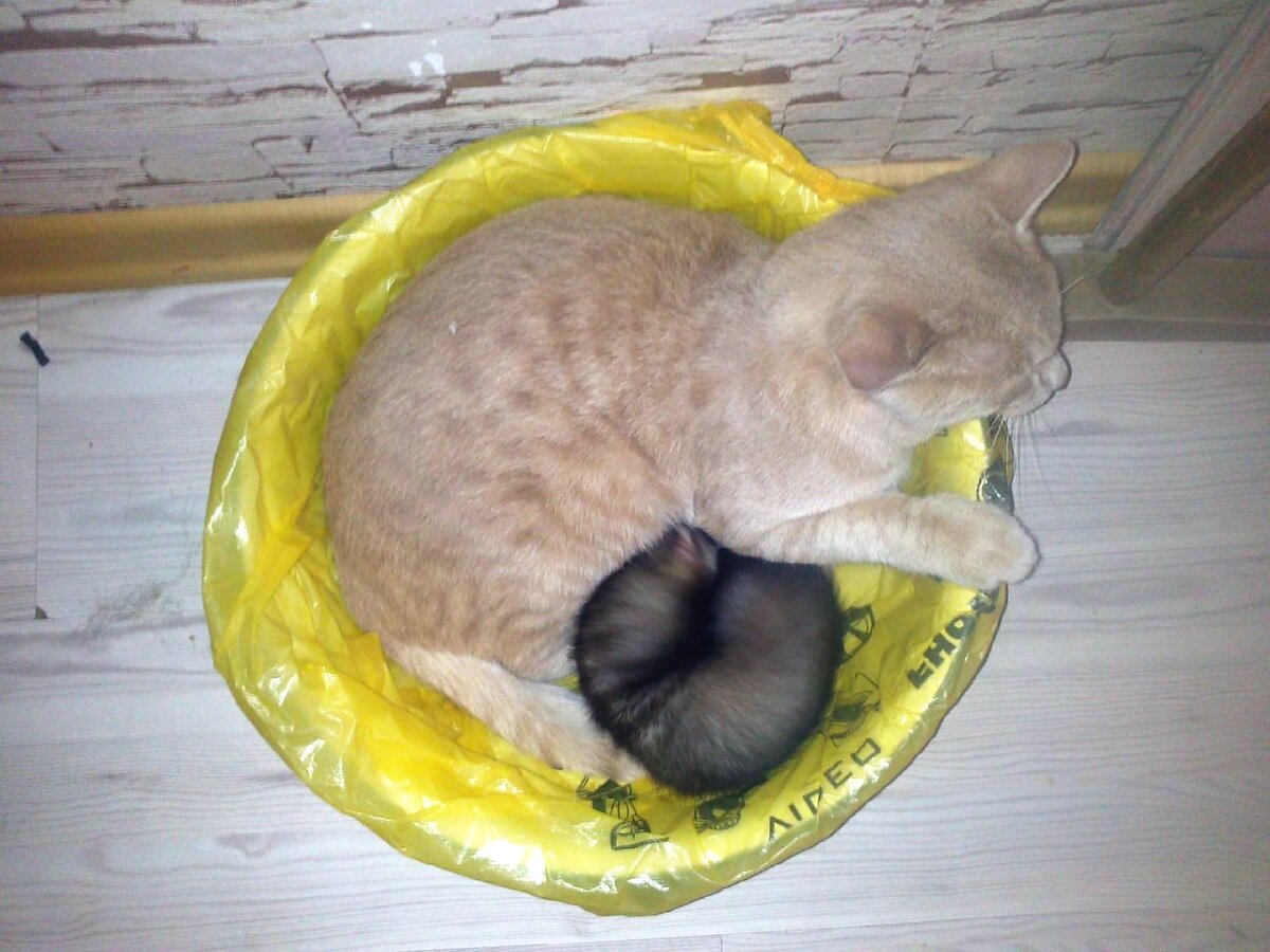 Фото из семейного архива Анны