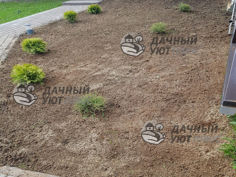Подготовленный посевной газон