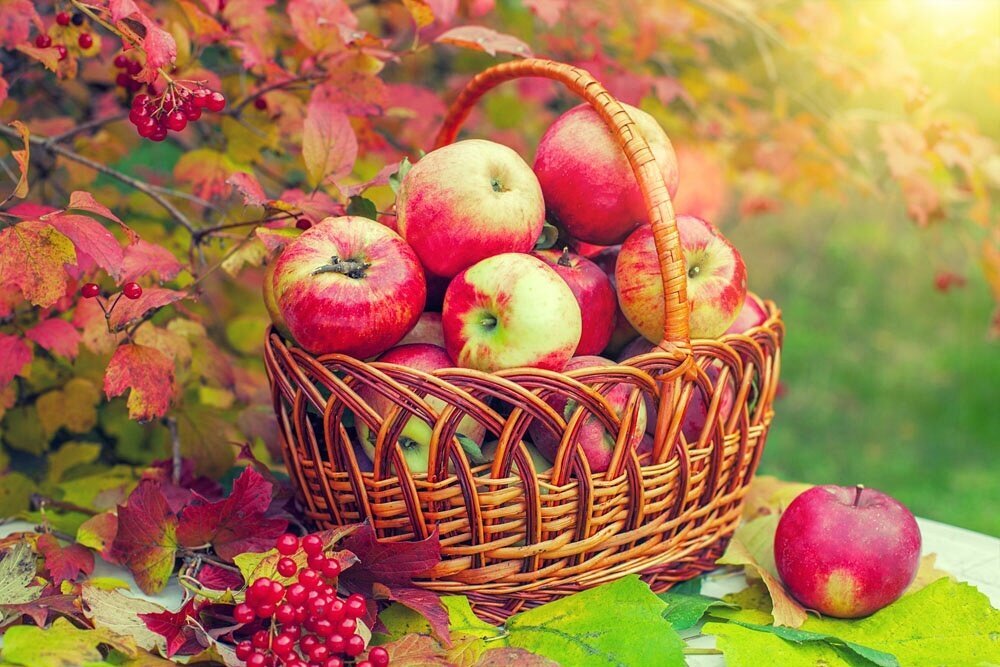 с сайта yandex.ru