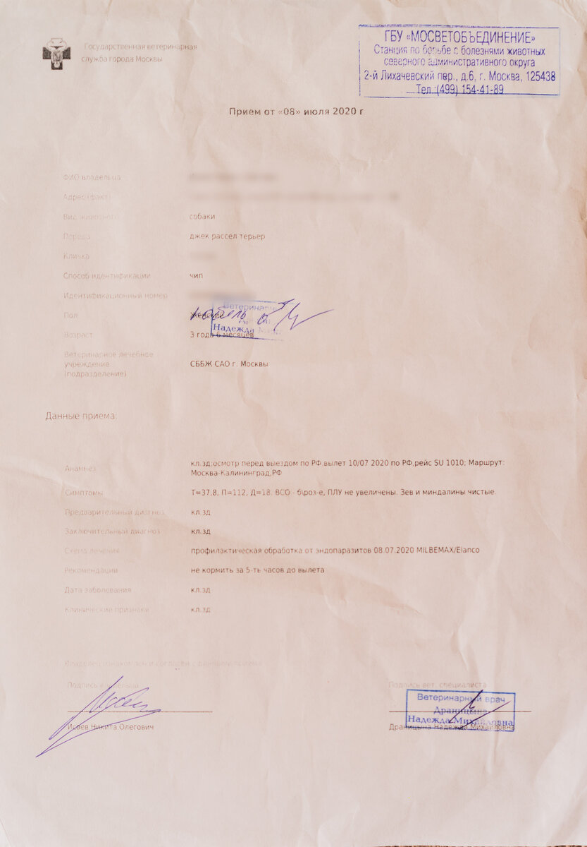 Справку необходимо получить обязательно в Государственной клинике.