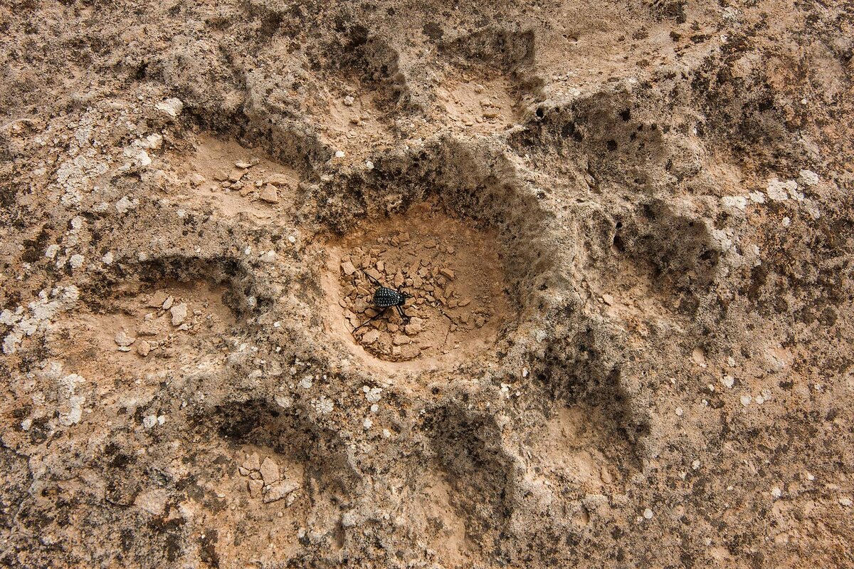 Петроглифы Катара. Источник фото: http://www.asergeev.com/pictures/k/Al_Jassasiya_Rock_carvings_Qatar.htm