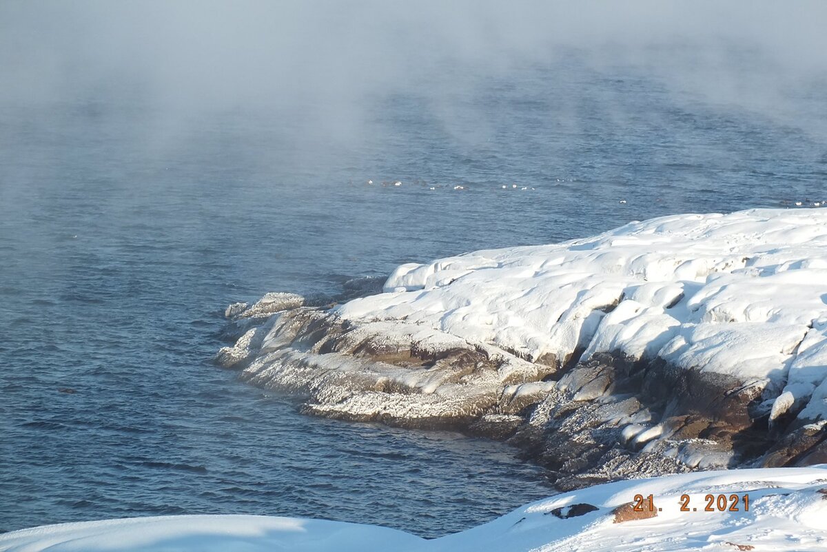 Самый большой остров северного ледовитого. Баренцево море и Северный Ледовитый океан. Мурманск Северный Ледовитый океан. Берег Ледовитого океана Мурманск. Купание в Северном Ледовитом океане Мурманск.