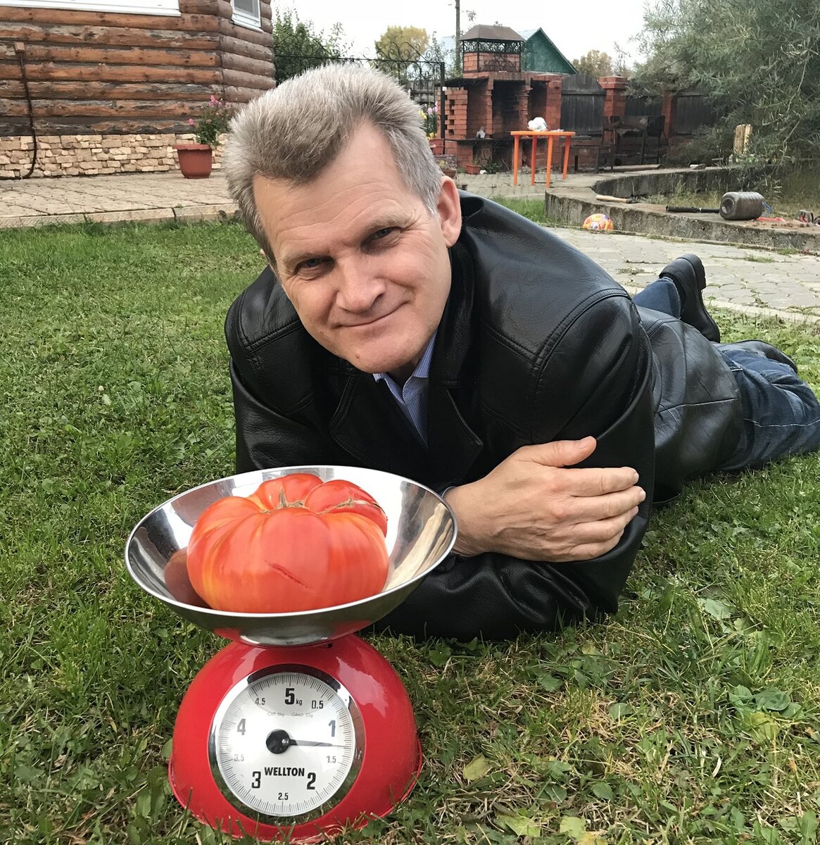 Юсуповский сорт помидоров